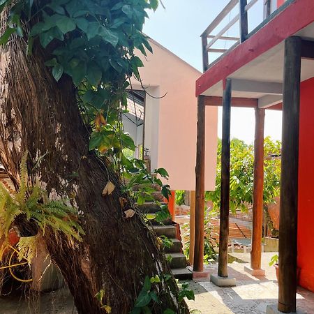 Morada Cacauera Apartment Itacaré Екстериор снимка