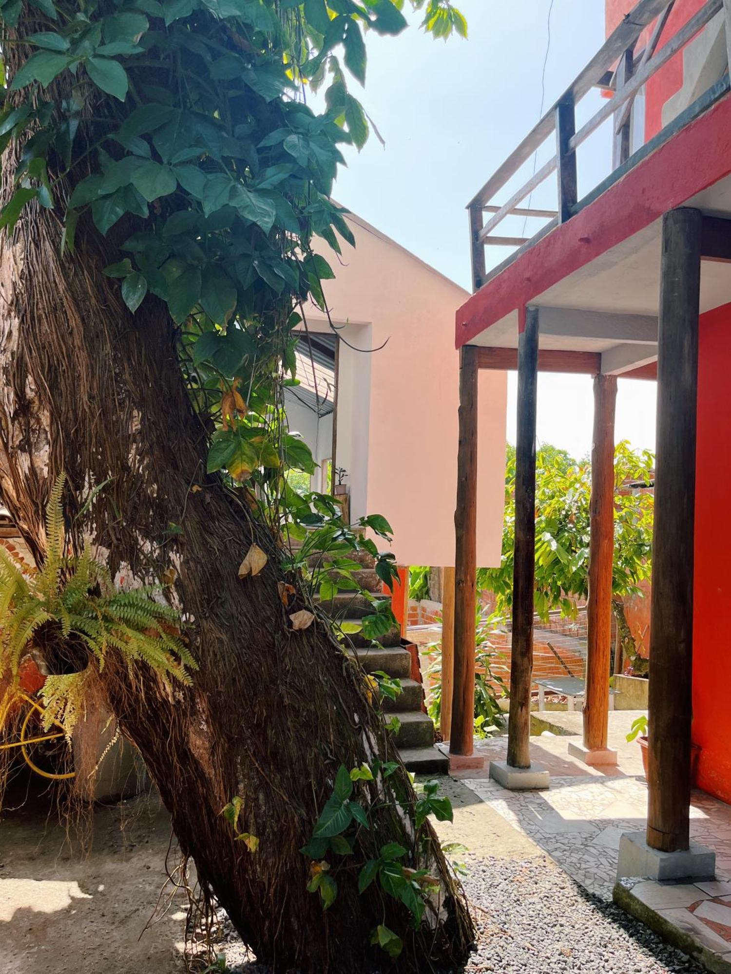 Morada Cacauera Apartment Itacaré Екстериор снимка